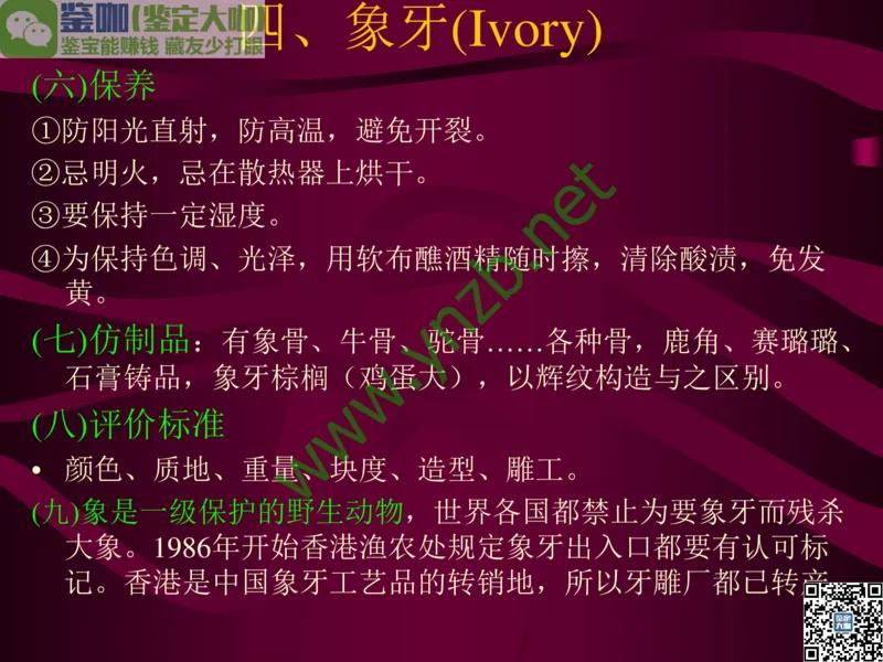 第12讲：自然历史中的生命瑰宝：有机宝石(珊瑚、琥珀、象牙等)_X018-玉石珠宝鉴定教程最新合集_3、珠宝玉石鉴赏学习资料合集_珠宝玉石大学培训讲座教材