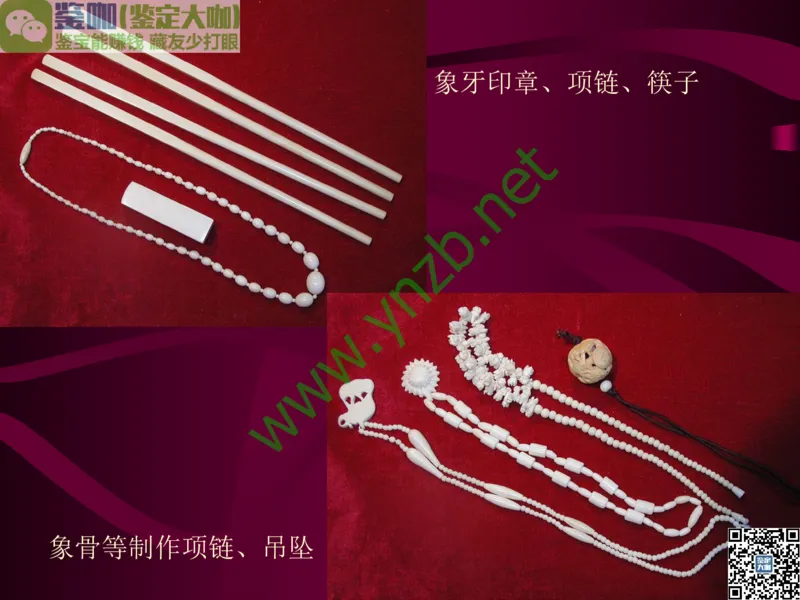 第12讲：自然历史中的生命瑰宝：有机宝石(珊瑚、琥珀、象牙等)_X018-玉石珠宝鉴定教程最新合集_3、珠宝玉石鉴赏学习资料合集_珠宝玉石大学培训讲座教材