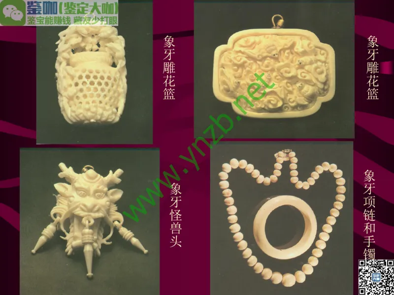 第12讲：自然历史中的生命瑰宝：有机宝石(珊瑚、琥珀、象牙等)_X018-玉石珠宝鉴定教程最新合集_3、珠宝玉石鉴赏学习资料合集_珠宝玉石大学培训讲座教材