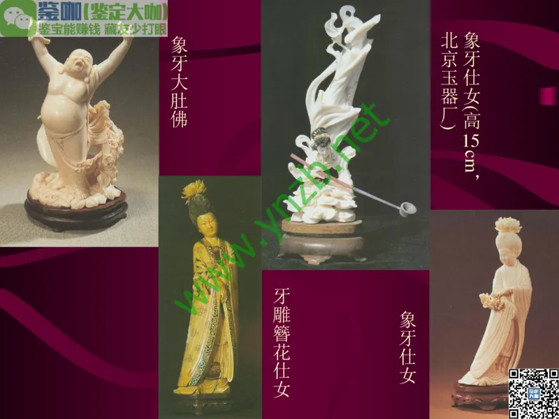 第12讲：自然历史中的生命瑰宝：有机宝石(珊瑚、琥珀、象牙等)_X018-玉石珠宝鉴定教程最新合集_3、珠宝玉石鉴赏学习资料合集_珠宝玉石大学培训讲座教材