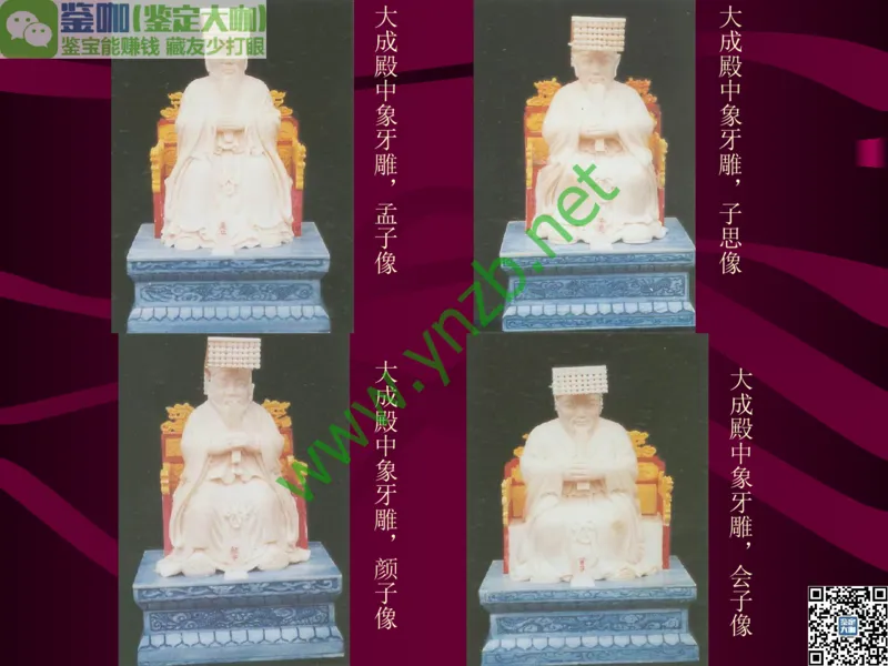 第12讲：自然历史中的生命瑰宝：有机宝石(珊瑚、琥珀、象牙等)_X018-玉石珠宝鉴定教程最新合集_3、珠宝玉石鉴赏学习资料合集_珠宝玉石大学培训讲座教材