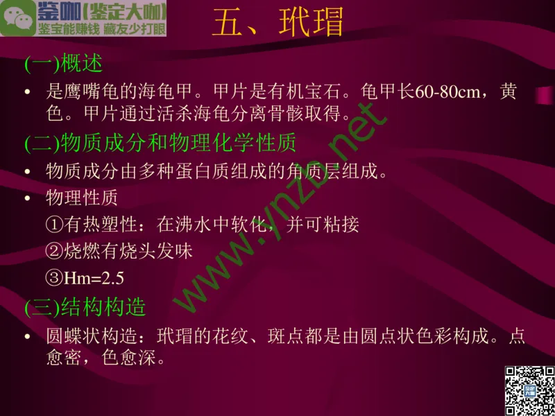 第12讲：自然历史中的生命瑰宝：有机宝石(珊瑚、琥珀、象牙等)_X018-玉石珠宝鉴定教程最新合集_3、珠宝玉石鉴赏学习资料合集_珠宝玉石大学培训讲座教材