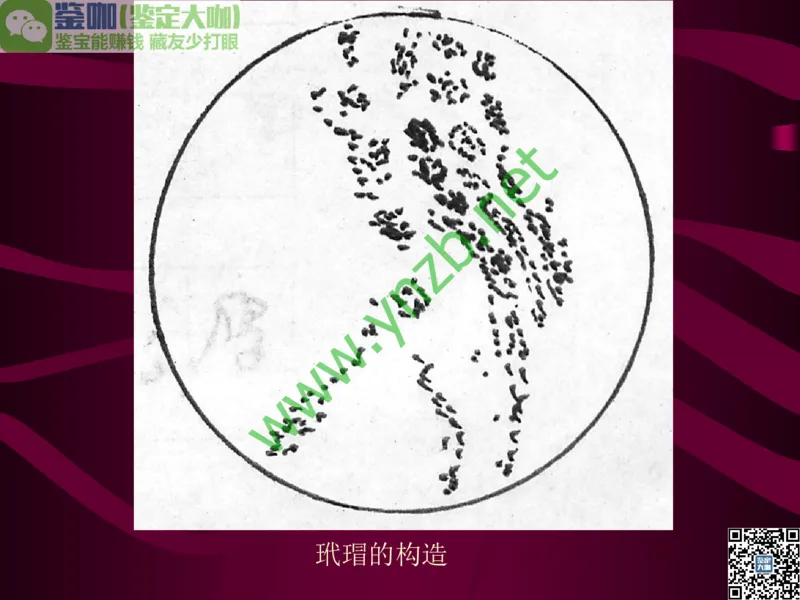 第12讲：自然历史中的生命瑰宝：有机宝石(珊瑚、琥珀、象牙等)_X018-玉石珠宝鉴定教程最新合集_3、珠宝玉石鉴赏学习资料合集_珠宝玉石大学培训讲座教材