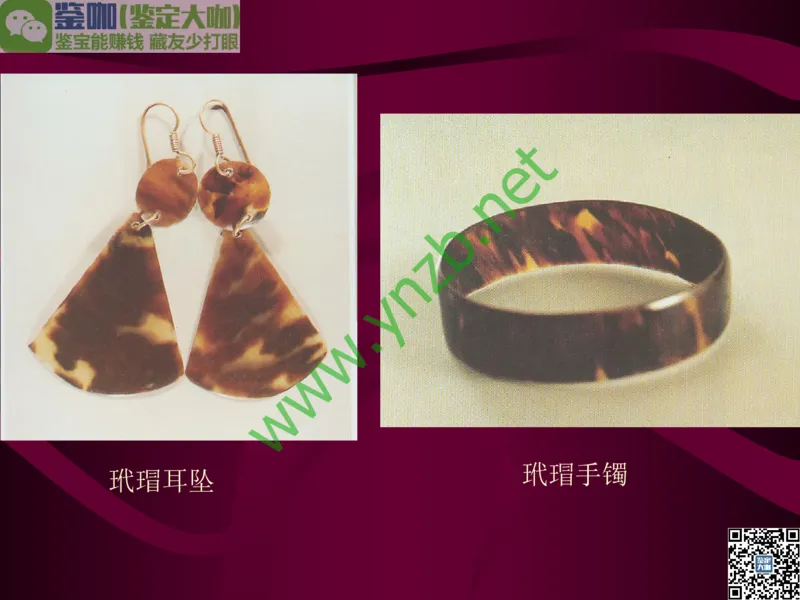 第12讲：自然历史中的生命瑰宝：有机宝石(珊瑚、琥珀、象牙等)_X018-玉石珠宝鉴定教程最新合集_3、珠宝玉石鉴赏学习资料合集_珠宝玉石大学培训讲座教材