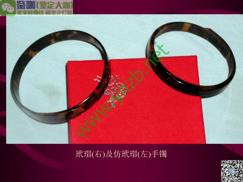 第12讲：自然历史中的生命瑰宝：有机宝石(珊瑚、琥珀、象牙等)_X018-玉石珠宝鉴定教程最新合集_3、珠宝玉石鉴赏学习资料合集_珠宝玉石大学培训讲座教材