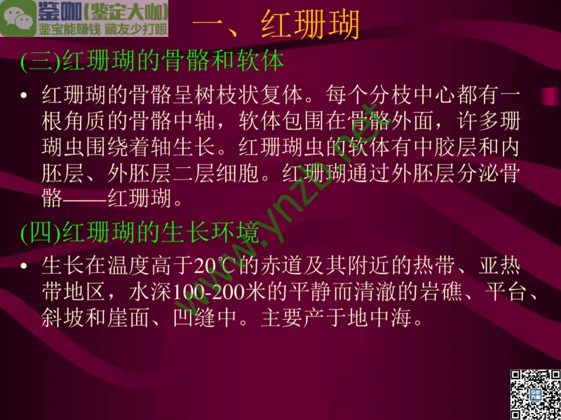 第12讲：自然历史中的生命瑰宝：有机宝石(珊瑚、琥珀、象牙等)_X018-玉石珠宝鉴定教程最新合集_3、珠宝玉石鉴赏学习资料合集_珠宝玉石大学培训讲座教材