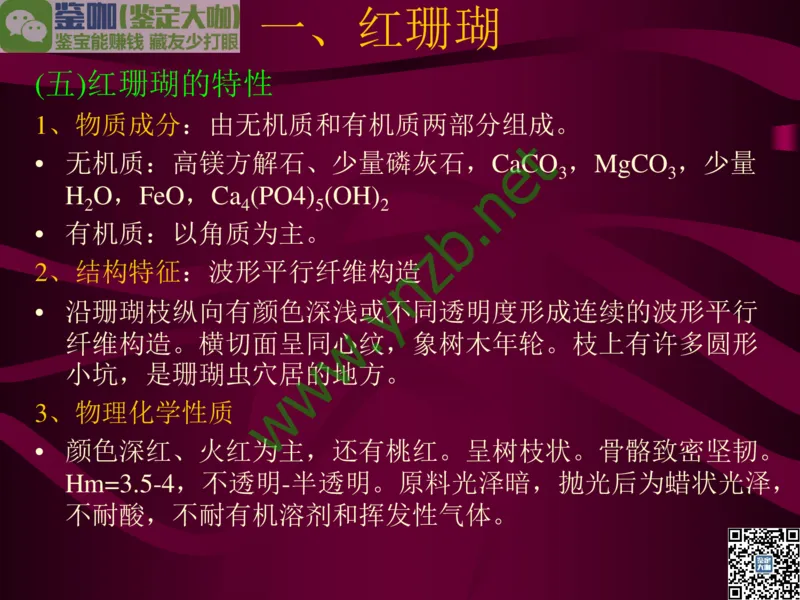 第12讲：自然历史中的生命瑰宝：有机宝石(珊瑚、琥珀、象牙等)_X018-玉石珠宝鉴定教程最新合集_3、珠宝玉石鉴赏学习资料合集_珠宝玉石大学培训讲座教材