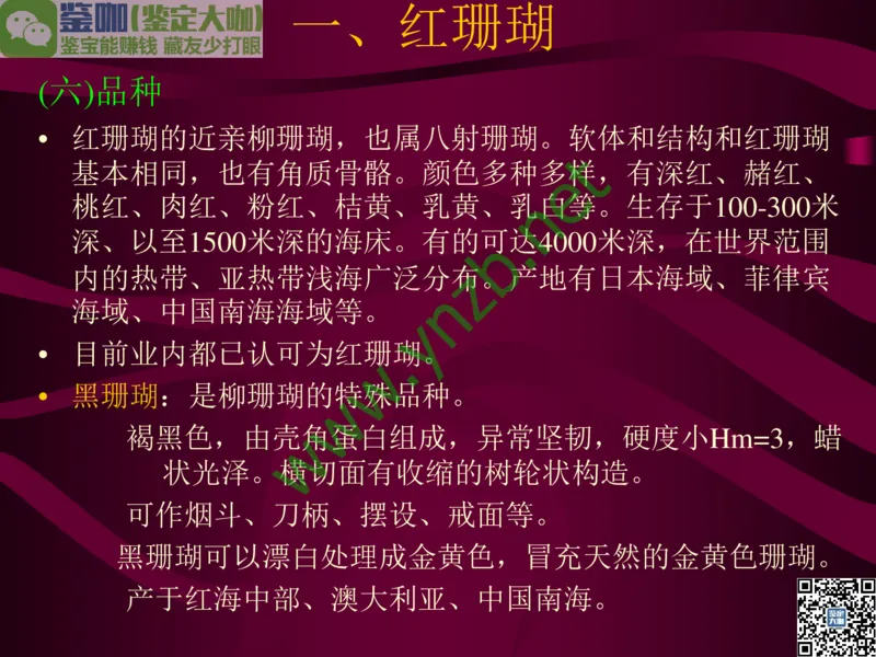 第12讲：自然历史中的生命瑰宝：有机宝石(珊瑚、琥珀、象牙等)_X018-玉石珠宝鉴定教程最新合集_3、珠宝玉石鉴赏学习资料合集_珠宝玉石大学培训讲座教材