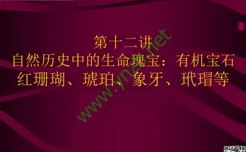 第12讲：自然历史中的生命瑰宝：有机宝石(珊瑚、琥珀、象牙等)_X018-玉石珠宝鉴定教程最新合集_3、珠宝玉石鉴赏学习资料合集_珠宝玉石大学培训讲座教材