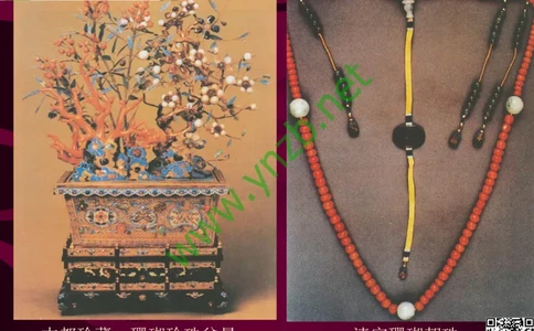 第12讲：自然历史中的生命瑰宝：有机宝石(珊瑚、琥珀、象牙等)_X018-玉石珠宝鉴定教程最新合集_3、珠宝玉石鉴赏学习资料合集_珠宝玉石大学培训讲座教材