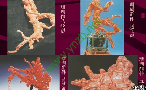 第12讲：自然历史中的生命瑰宝：有机宝石(珊瑚、琥珀、象牙等)_X018-玉石珠宝鉴定教程最新合集_3、珠宝玉石鉴赏学习资料合集_珠宝玉石大学培训讲座教材