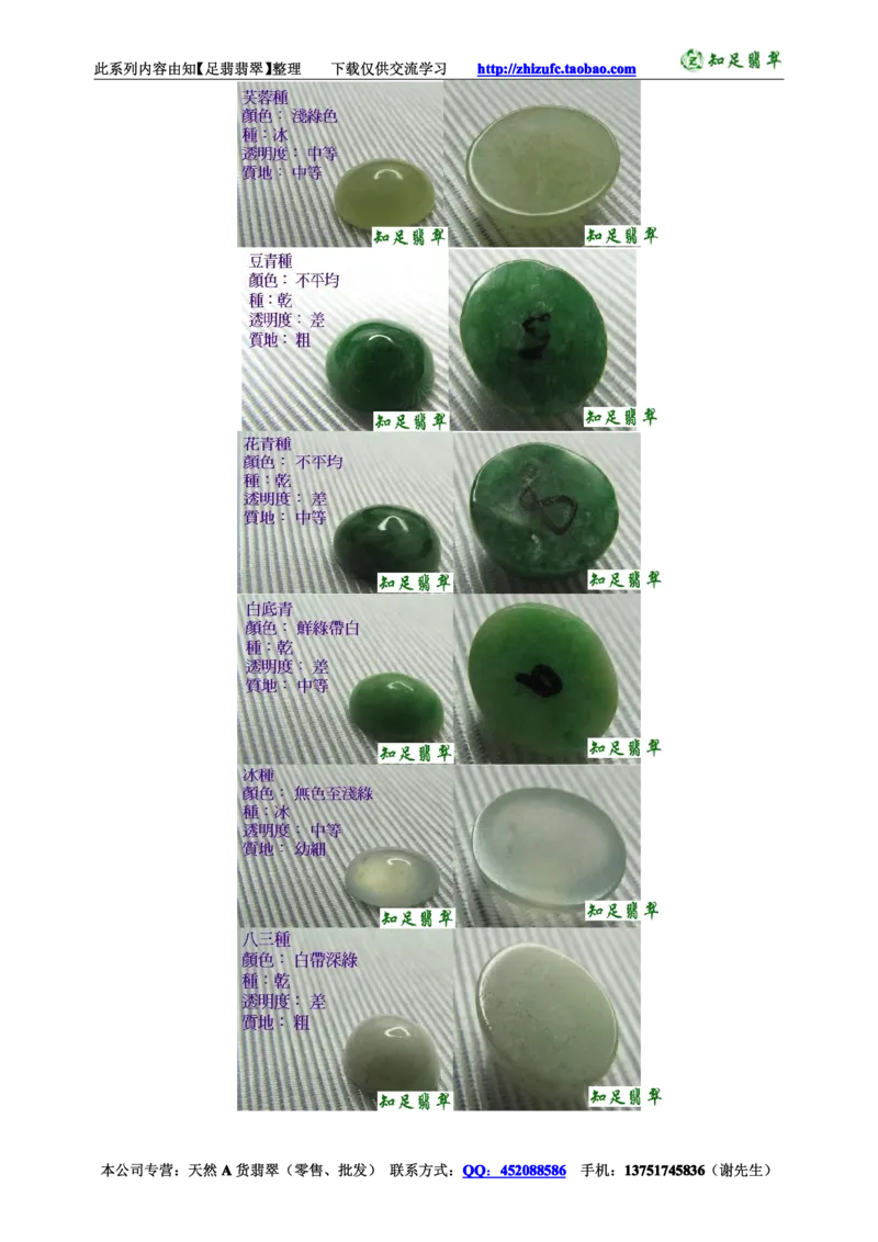 翡翠入门-翡翠种色图解_X018-玉石珠宝鉴定教程最新合集_8、玉石翡翠鉴定与投资电子资料