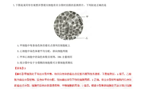 2015年高考生物试卷（安徽）（解析卷）_生物历年高考真题_新&middot;PDF版2008-2025&middot;高考生物真题_生物（按省份分类）2008-2025_2012-2025&middot;（安徽）生物高考真题
