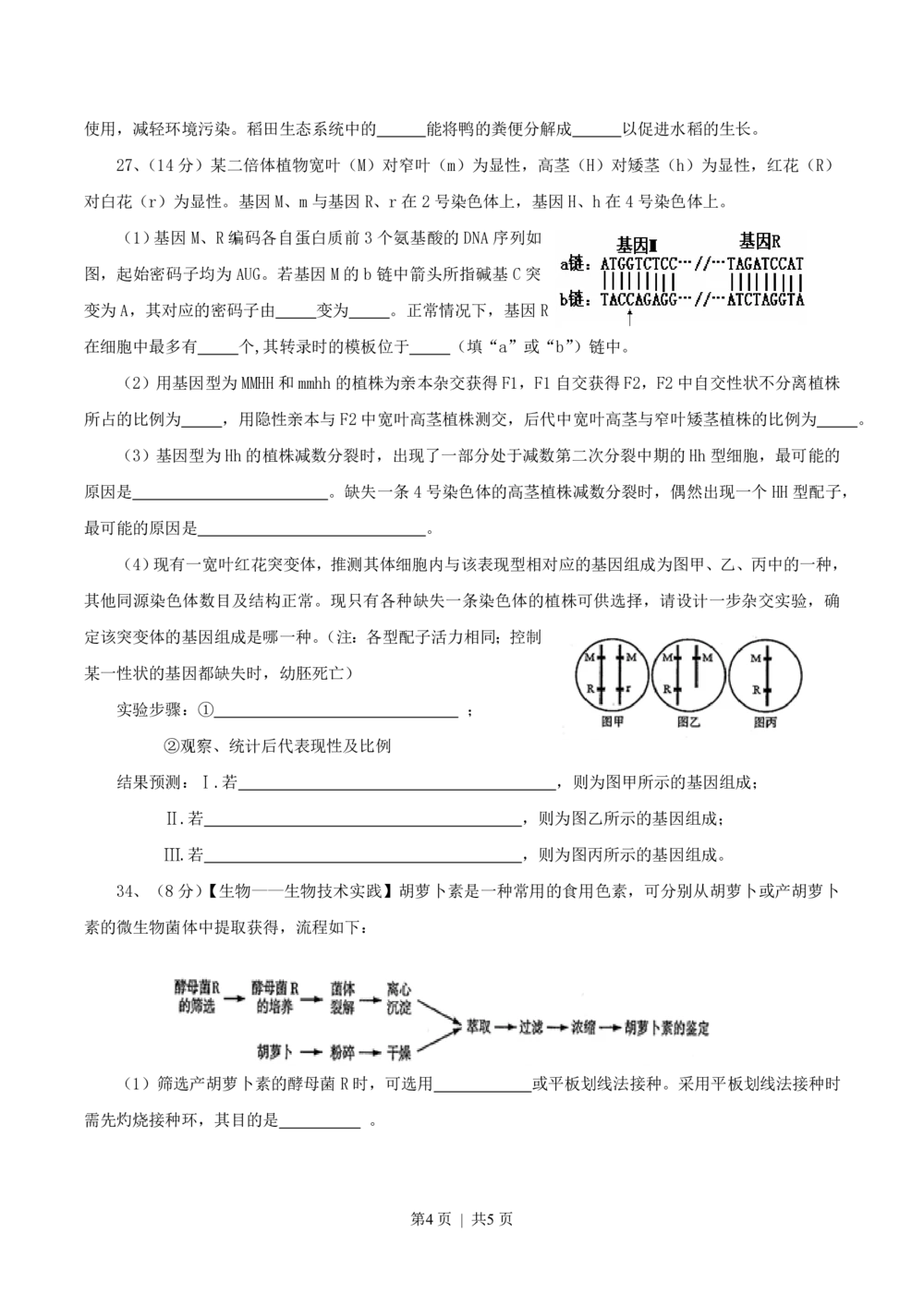 2013年高考生物试卷（山东）（空白卷）_生物历年高考真题_新&middot;PDF版2008-2025&middot;高考生物真题_生物（按省份分类）2008-2025_2008-2025&middot;（山东）生物高考真题