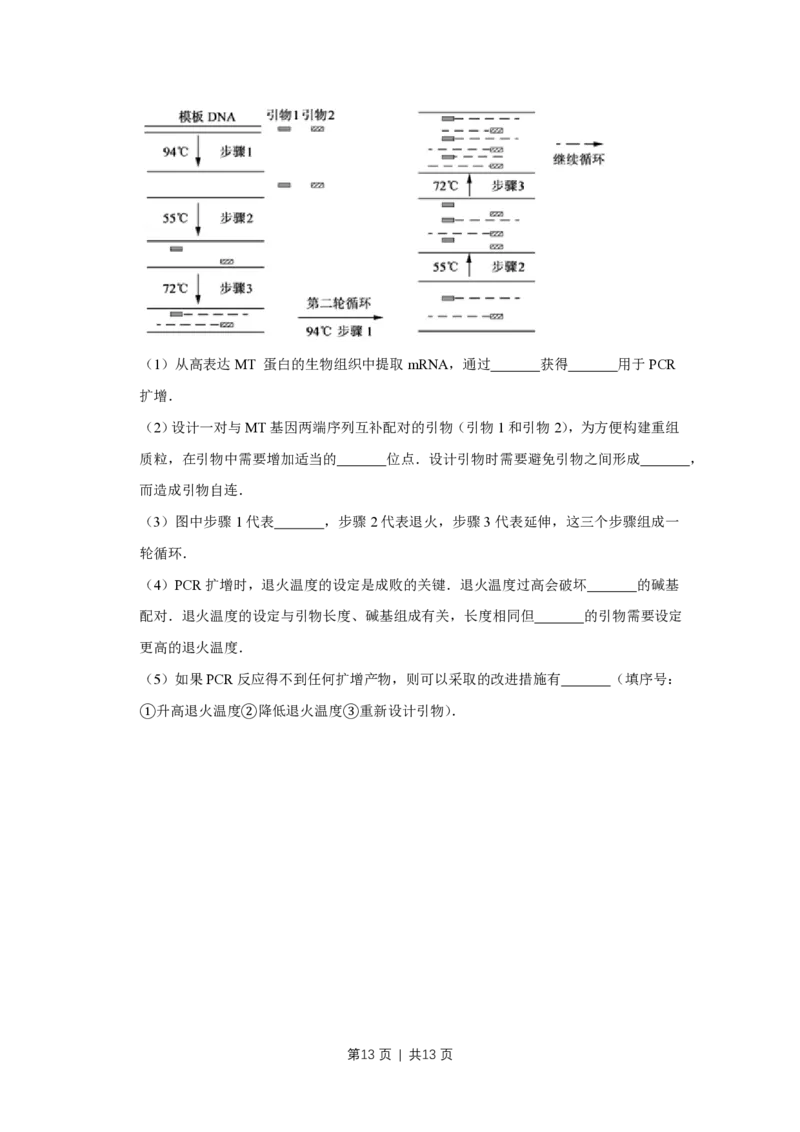 2017年高考生物试卷（江苏）（空白卷）_生物历年高考真题_新&middot;PDF版2008-2025&middot;高考生物真题_生物（按年份分类）2008-2025_2017&middot;高考生物真题