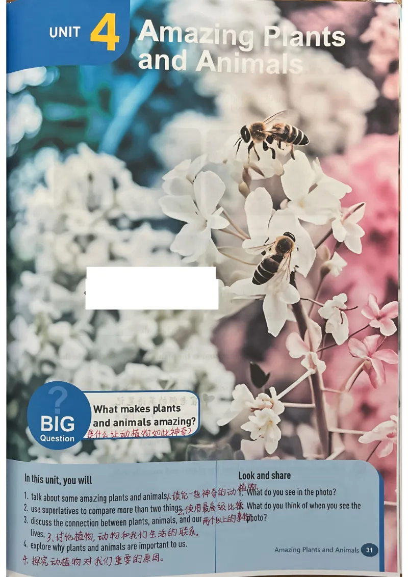 2025秋八上英语手写笔记-1_初中英语新版_最新人教版英语八年级上册_新版_初中英语8上新更新第三套可选择_07课堂笔记