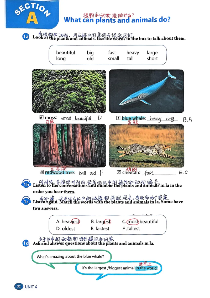 2025秋八上英语手写笔记-1_初中英语新版_最新人教版英语八年级上册_新版_初中英语8上新更新第三套可选择_07课堂笔记