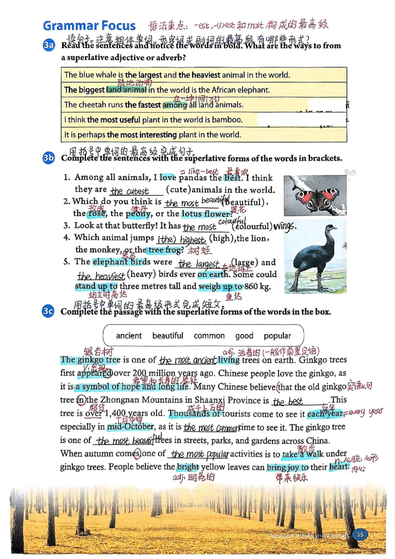 2025秋八上英语手写笔记-1_初中英语新版_最新人教版英语八年级上册_新版_初中英语8上新更新第三套可选择_07课堂笔记