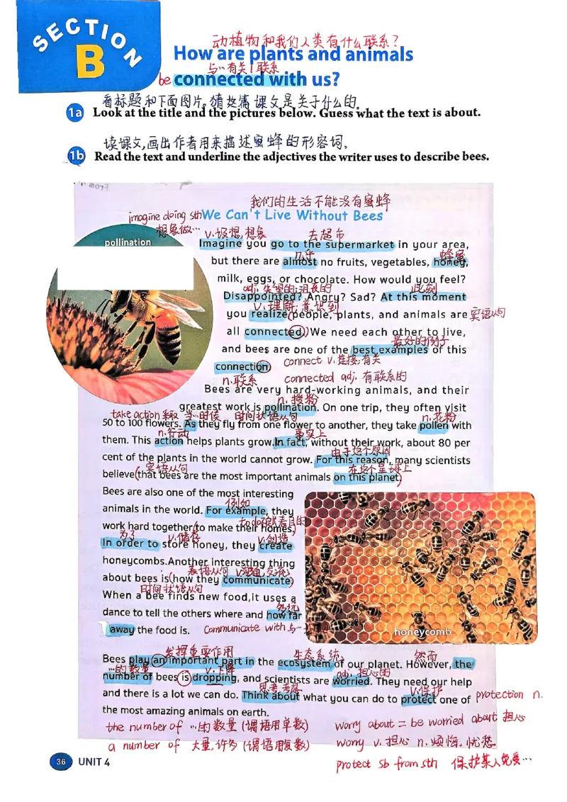 2025秋八上英语手写笔记-1_初中英语新版_最新人教版英语八年级上册_新版_初中英语8上新更新第三套可选择_07课堂笔记