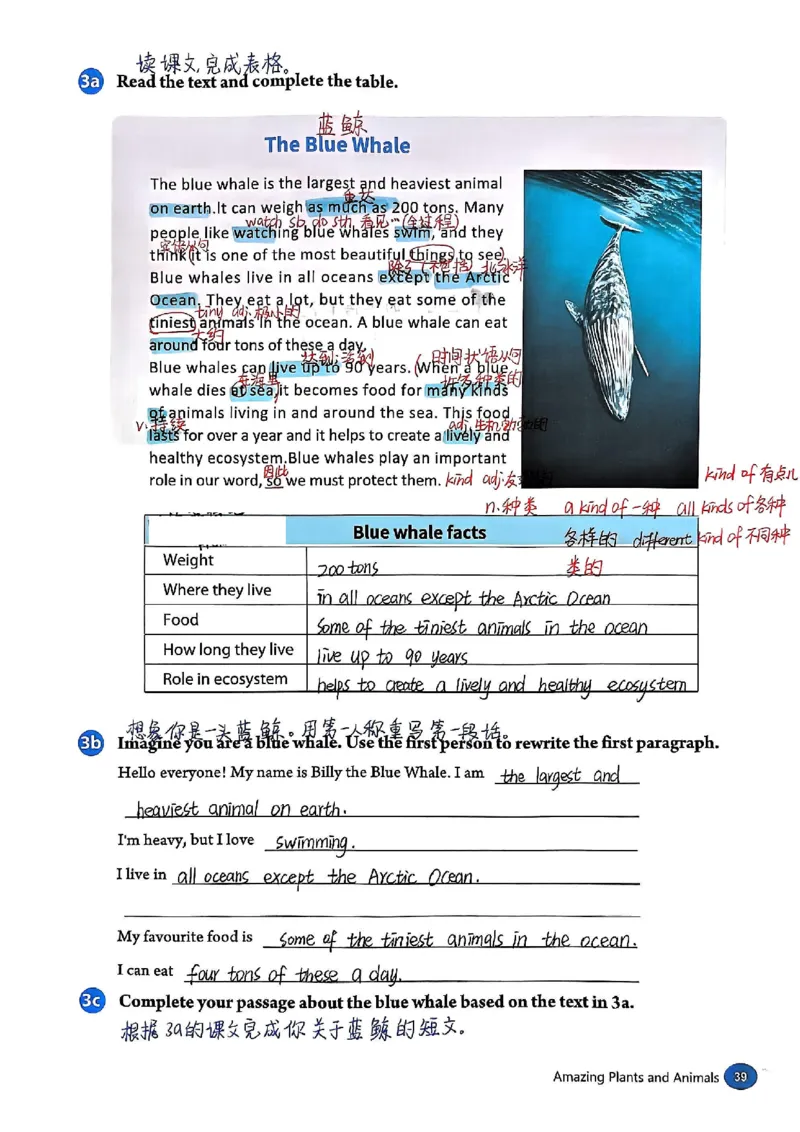 2025秋八上英语手写笔记-1_初中英语新版_最新人教版英语八年级上册_新版_初中英语8上新更新第三套可选择_07课堂笔记