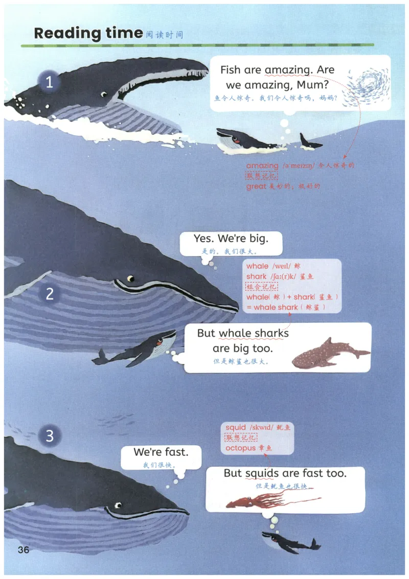 25秋英语课堂笔记人教pep版-3年级上册_25秋英语课堂笔记人教pep版-3年级上册