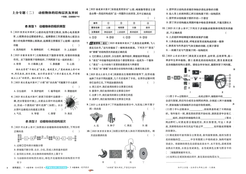 2026初中上分卷生物7年级上册_2026版初中《必刷题上分卷》7年级上册（7科全套）_2026《初中上分卷&bull;生物》7上（人教版）