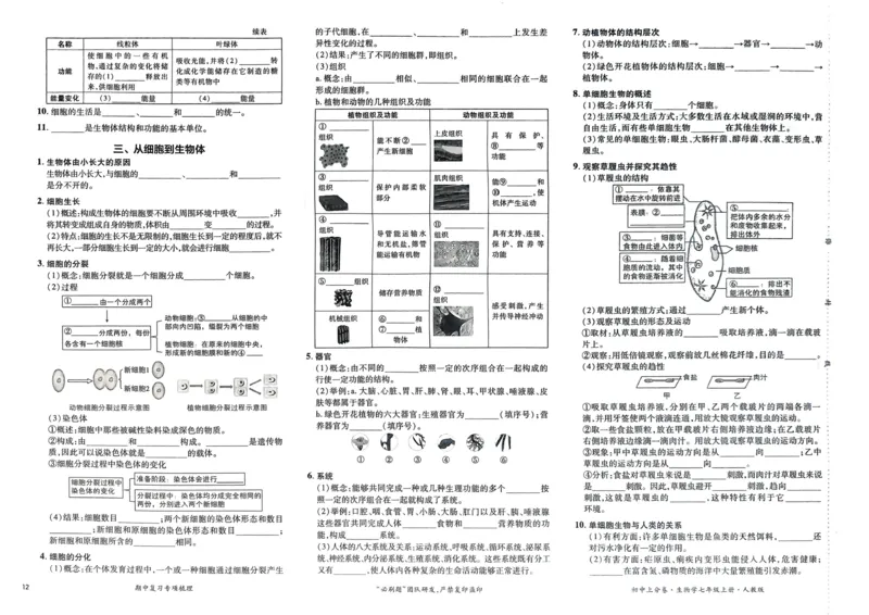 2026初中上分卷生物7年级上册_2026版初中《必刷题上分卷》7年级上册（7科全套）_2026《初中上分卷&bull;生物》7上（人教版）
