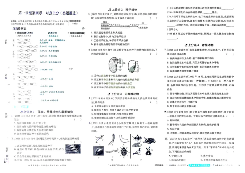 2026初中上分卷生物7年级上册_2026版初中《必刷题上分卷》7年级上册（7科全套）_2026《初中上分卷&bull;生物》7上（人教版）