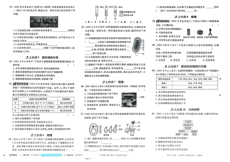 2026初中上分卷生物7年级上册_2026版初中《必刷题上分卷》7年级上册（7科全套）_2026《初中上分卷&bull;生物》7上（人教版）