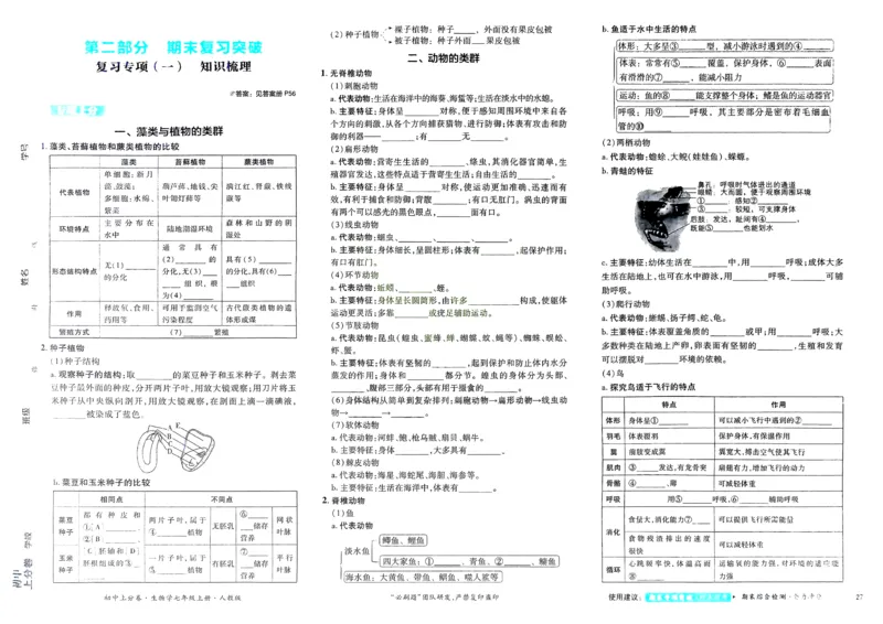 2026初中上分卷生物7年级上册_2026版初中《必刷题上分卷》7年级上册（7科全套）_2026《初中上分卷&bull;生物》7上（人教版）