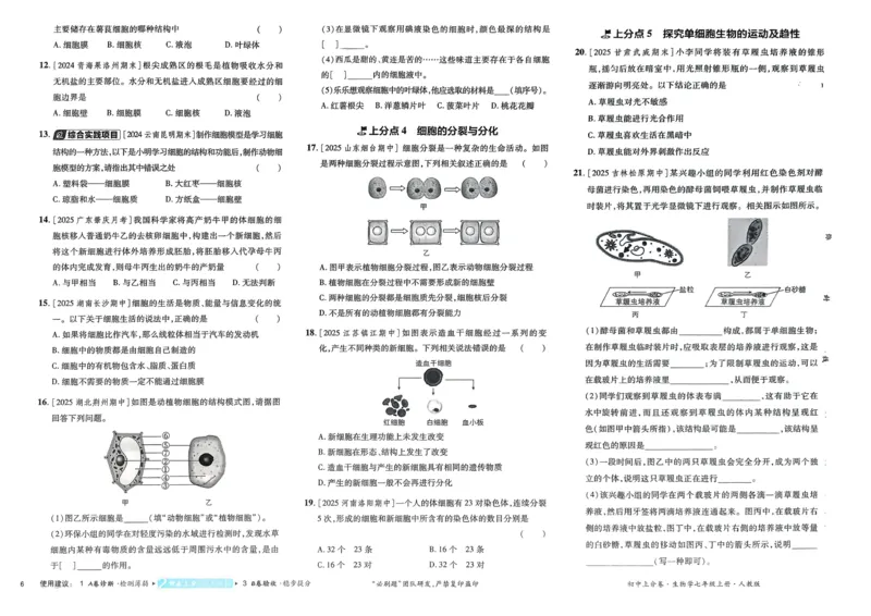 2026初中上分卷生物7年级上册_2026版初中《必刷题上分卷》7年级上册（7科全套）_2026《初中上分卷&bull;生物》7上（人教版）