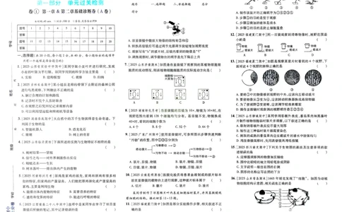 2026初中上分卷生物7年级上册_2026版初中《必刷题上分卷》7年级上册（7科全套）_2026《初中上分卷&bull;生物》7上（人教版）