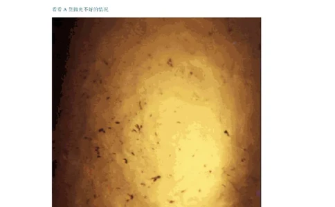 翡翠A、B货表面特征_X018-玉石珠宝鉴定教程最新合集_8、玉石翡翠鉴定与投资电子资料