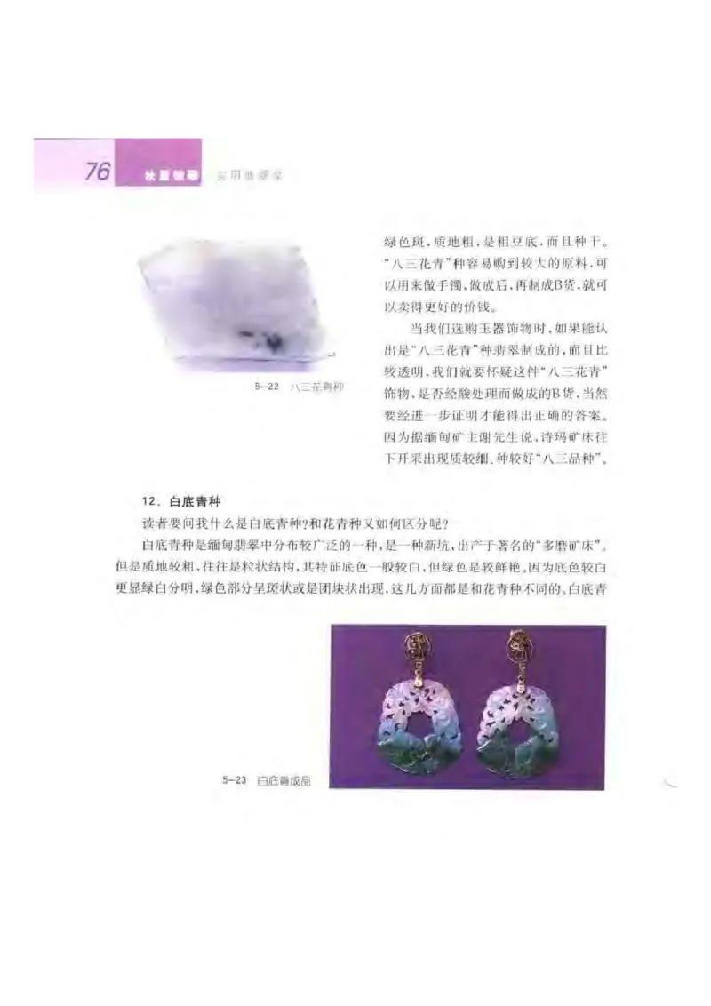 秋眉翡翠-4_X018-玉石珠宝鉴定教程最新合集_6、翡翠鉴定专题全套课程_翡翠电子书_秋眉翡翠