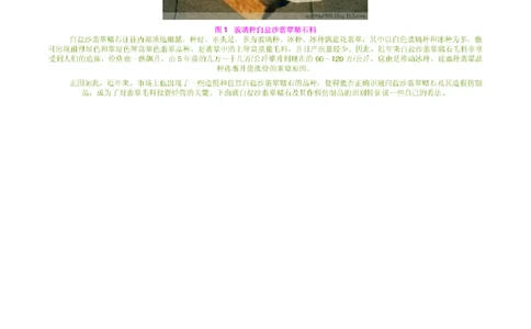 缅甸白盐沙翡翠赌石技巧1_X018-玉石珠宝鉴定教程最新合集_8、玉石翡翠鉴定与投资电子资料_赌石专题