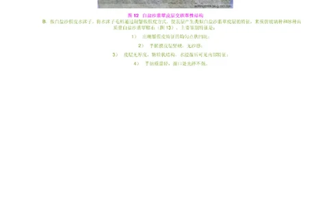 缅甸白盐沙翡翠赌石技巧1_X018-玉石珠宝鉴定教程最新合集_8、玉石翡翠鉴定与投资电子资料_赌石专题