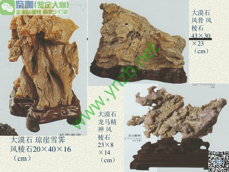 第13讲：异彩纷呈、鬼斧神工的观赏石_X018-玉石珠宝鉴定教程最新合集_3、珠宝玉石鉴赏学习资料合集_珠宝玉石大学培训讲座教材