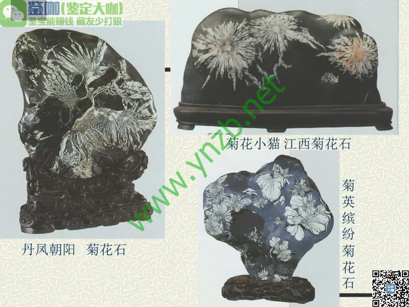 第13讲：异彩纷呈、鬼斧神工的观赏石_X018-玉石珠宝鉴定教程最新合集_3、珠宝玉石鉴赏学习资料合集_珠宝玉石大学培训讲座教材