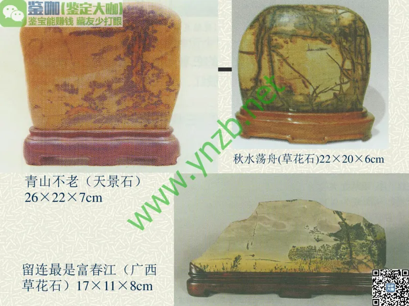 第13讲：异彩纷呈、鬼斧神工的观赏石_X018-玉石珠宝鉴定教程最新合集_3、珠宝玉石鉴赏学习资料合集_珠宝玉石大学培训讲座教材