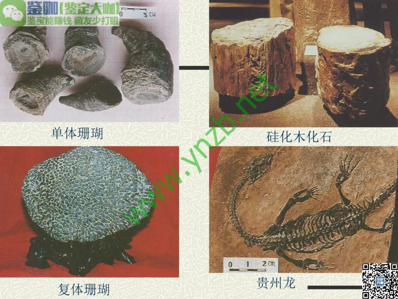 第13讲：异彩纷呈、鬼斧神工的观赏石_X018-玉石珠宝鉴定教程最新合集_3、珠宝玉石鉴赏学习资料合集_珠宝玉石大学培训讲座教材