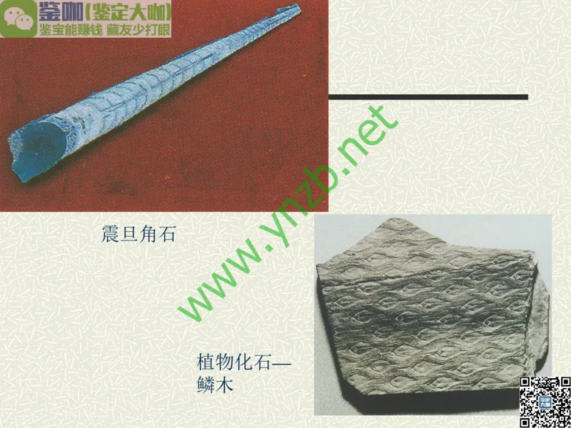 第13讲：异彩纷呈、鬼斧神工的观赏石_X018-玉石珠宝鉴定教程最新合集_3、珠宝玉石鉴赏学习资料合集_珠宝玉石大学培训讲座教材