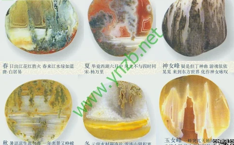 第13讲：异彩纷呈、鬼斧神工的观赏石_X018-玉石珠宝鉴定教程最新合集_3、珠宝玉石鉴赏学习资料合集_珠宝玉石大学培训讲座教材