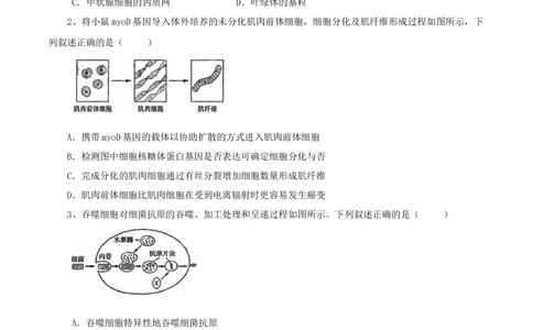 2013年高考生物试卷（山东）（空白卷）_生物历年高考真题_新&middot;Word版2008-2025&middot;高考生物真题_生物（按年份分类）2008-2025_2013&middot;高考生物真题