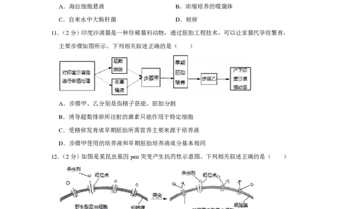 2016年高考生物试卷（江苏）（空白卷）_生物历年高考真题_新&middot;PDF版2008-2025&middot;高考生物真题_生物（按试卷类型分类）2008-2025_自主命题卷&middot;生物（2008-2025）_江苏自主命题&middot;生物（2008-2025）