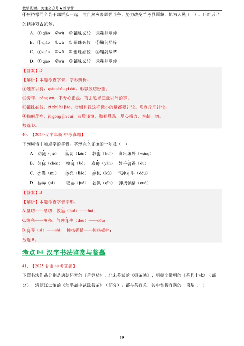 专题01字音字形(解析版)_2023-2025《3年中考1年模拟真题分类汇编》语文