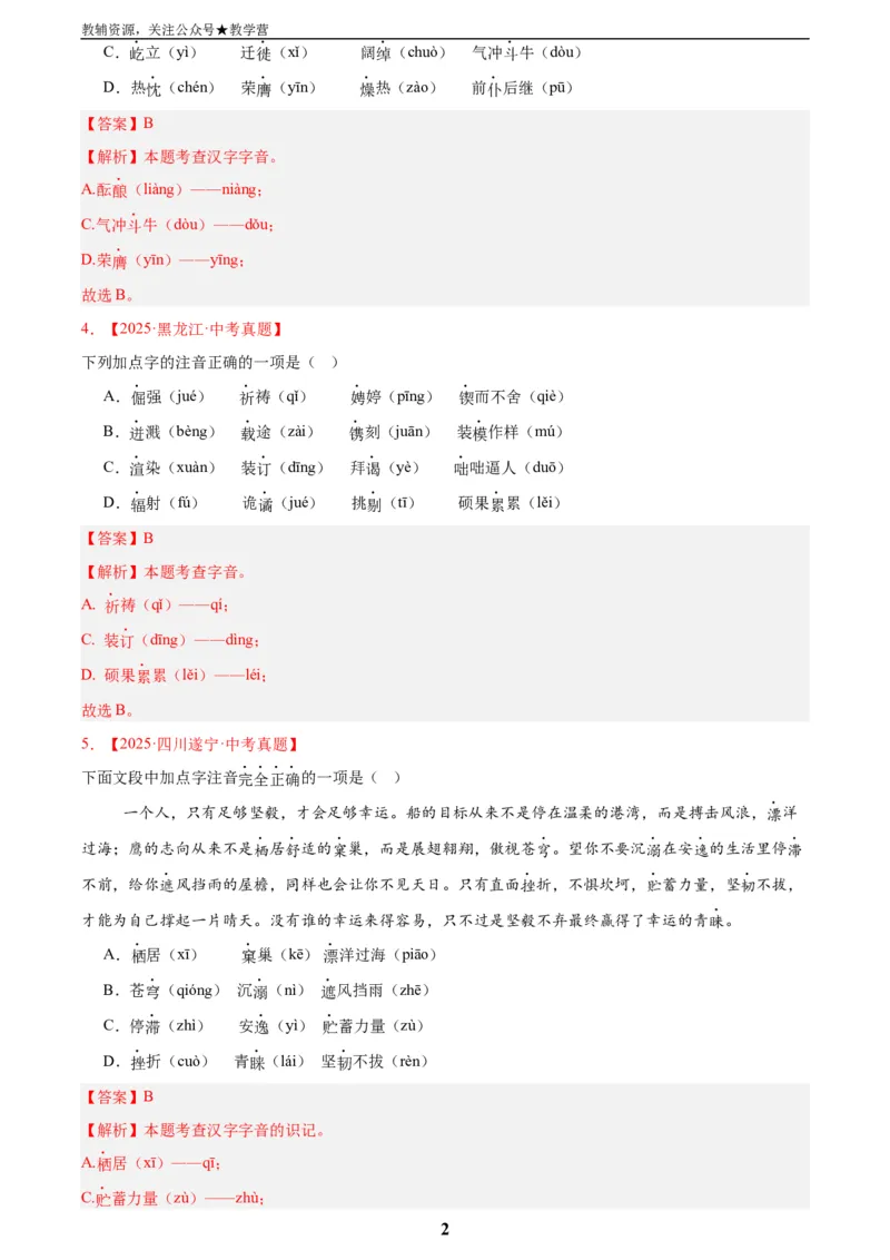 专题01字音字形(解析版)_2023-2025《3年中考1年模拟真题分类汇编》语文