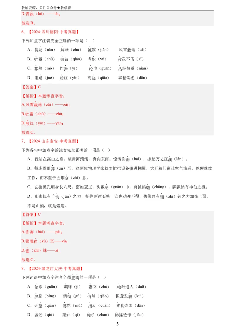 专题01字音字形(解析版)_2023-2025《3年中考1年模拟真题分类汇编》语文