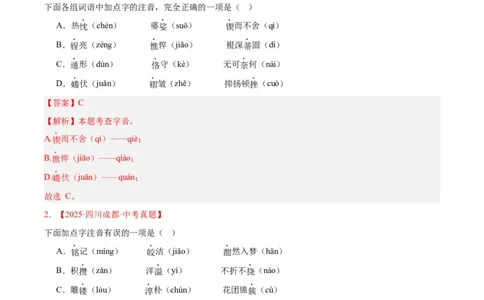 专题01字音字形(解析版)_2023-2025《3年中考1年模拟真题分类汇编》语文