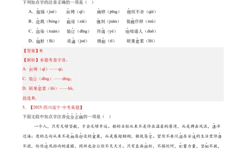 专题01字音字形(解析版)_2023-2025《3年中考1年模拟真题分类汇编》语文