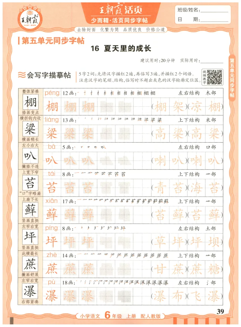 25秋王朝霞活页同步字帖-6年级上_25秋《王朝霞语文活页同步字帖》1-6上